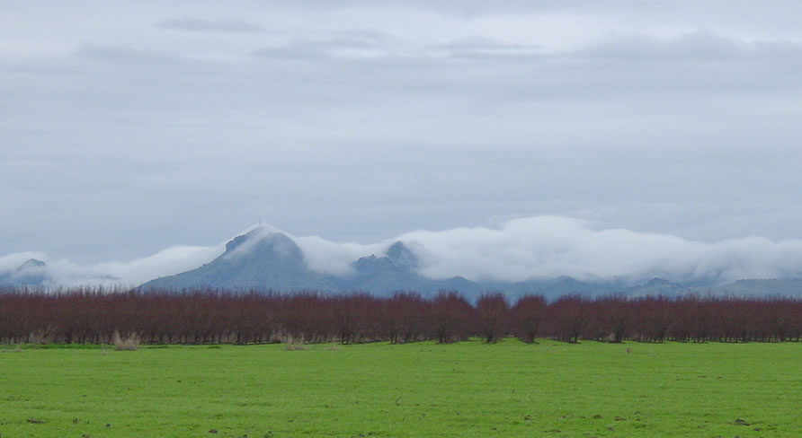 Sutter Buttes From Our Street Corner