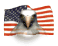 American Flag & Eagle